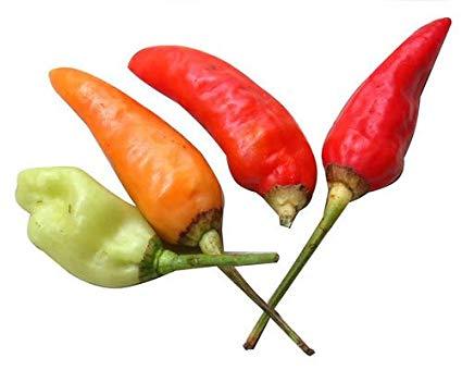 Bird eye chilli pepper