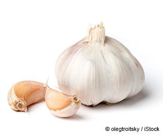 Garlic