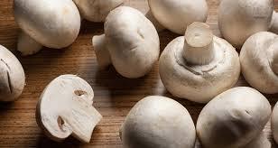 Mushrooms