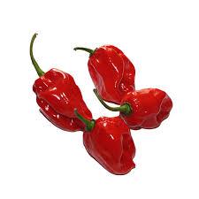 Pepper
