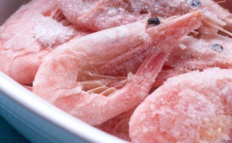 Shrimps
